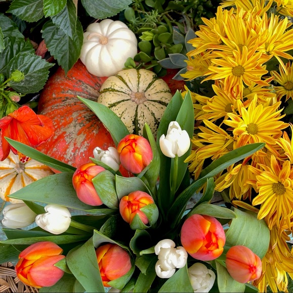 Meet your Posher, Cristina - Picture 4 of 16